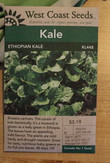 West Coast Seeds Kale Ethiopian