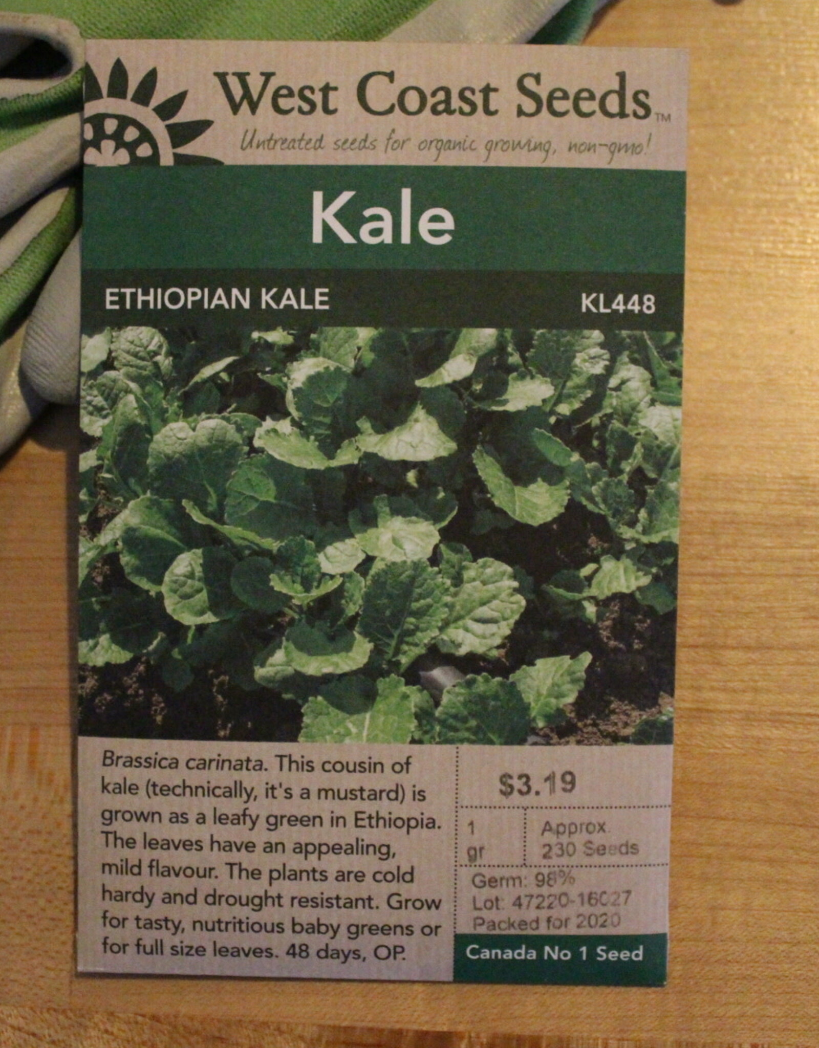 West Coast Seeds Kale Ethiopian