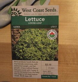 West Coast Seeds Lettuce Loose-Leaf Ilema Eazy Leaf Organic Certified (25 Seeds)