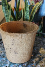 1 gal Biodegradable Coconut Coir Pot