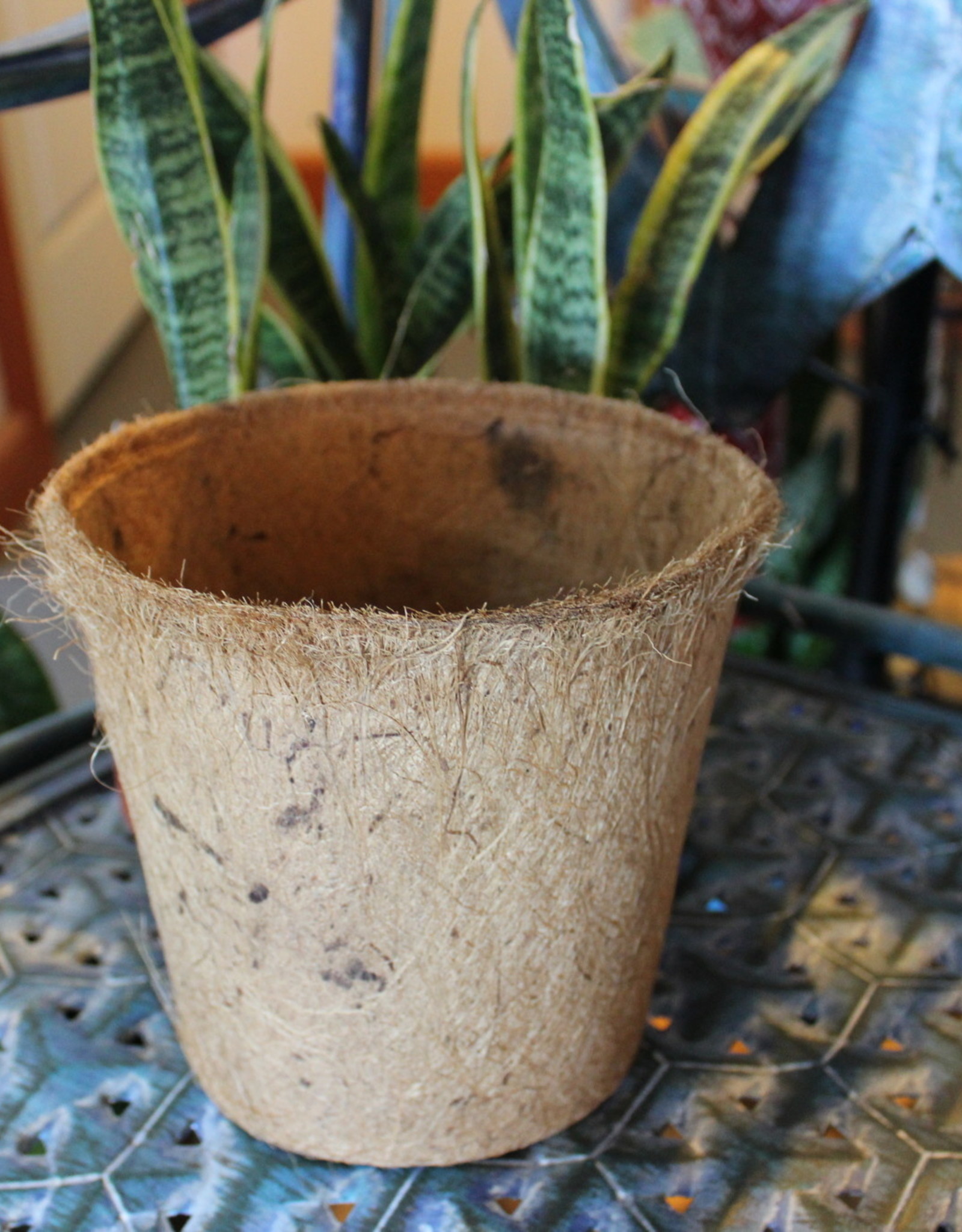 1 gal Biodegradable Coconut Coir Pot