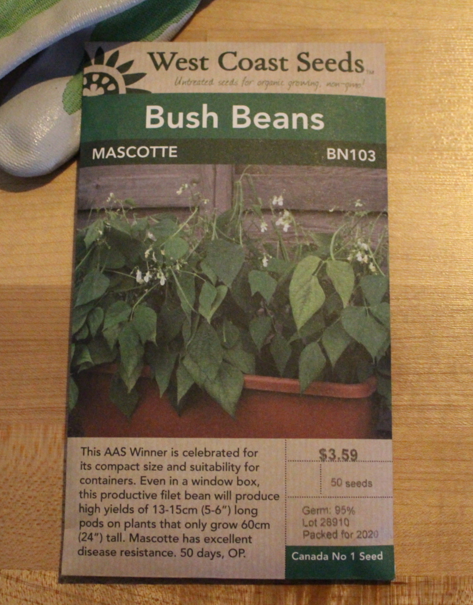 West Coast Seeds Bush Bean Mascotte (50 seeds)