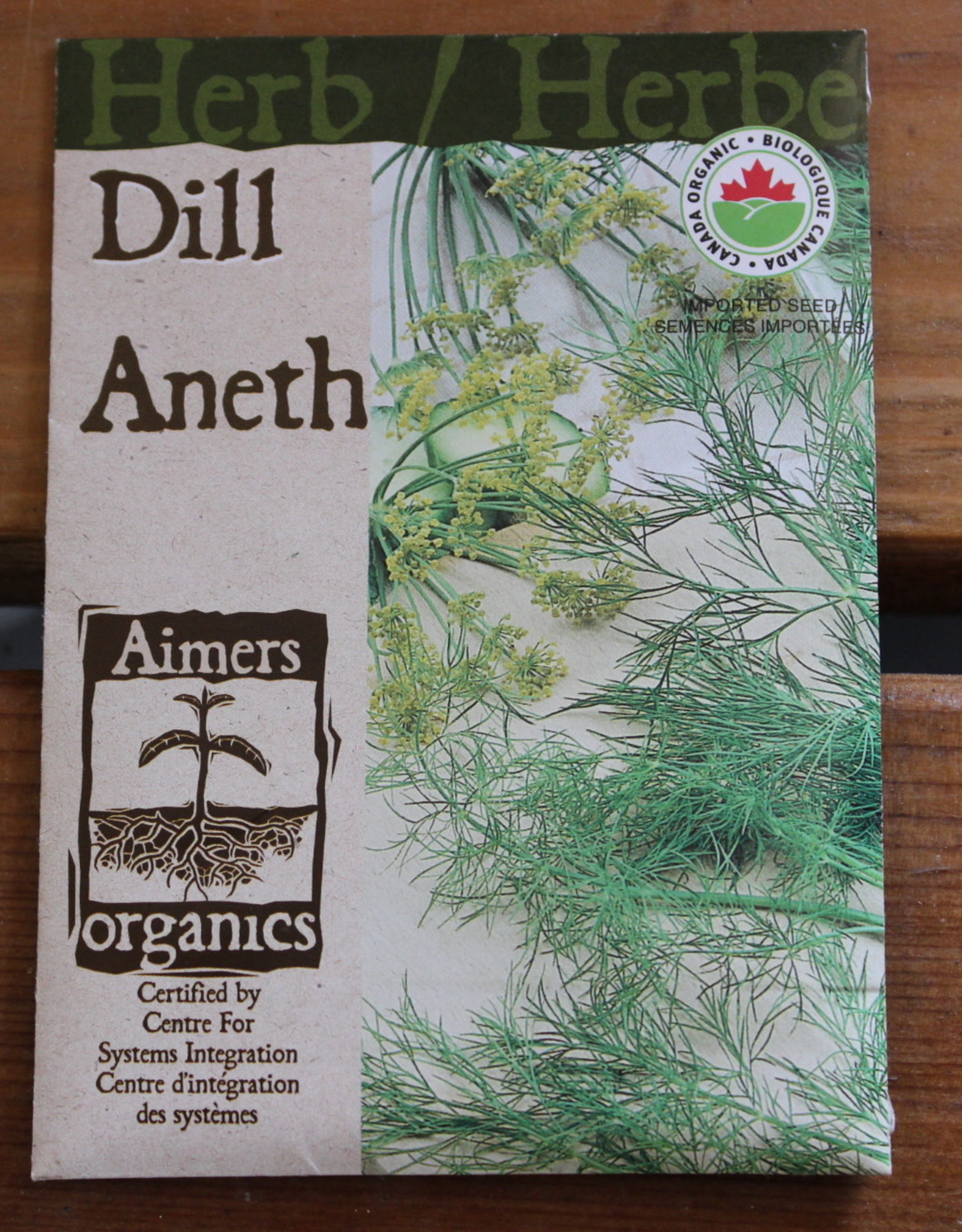 Herb - Dill