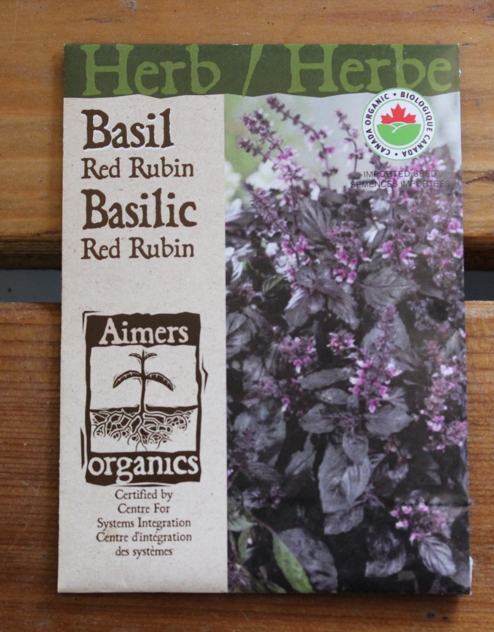 Herb - Red Rubin Basil