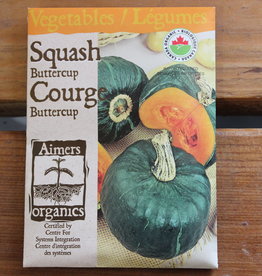Squash - Burgess Buttercup