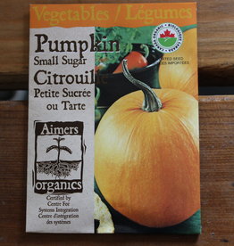 Pumpkin - Small Sugar