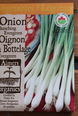 Aimers Onion - Evergreen Bunching