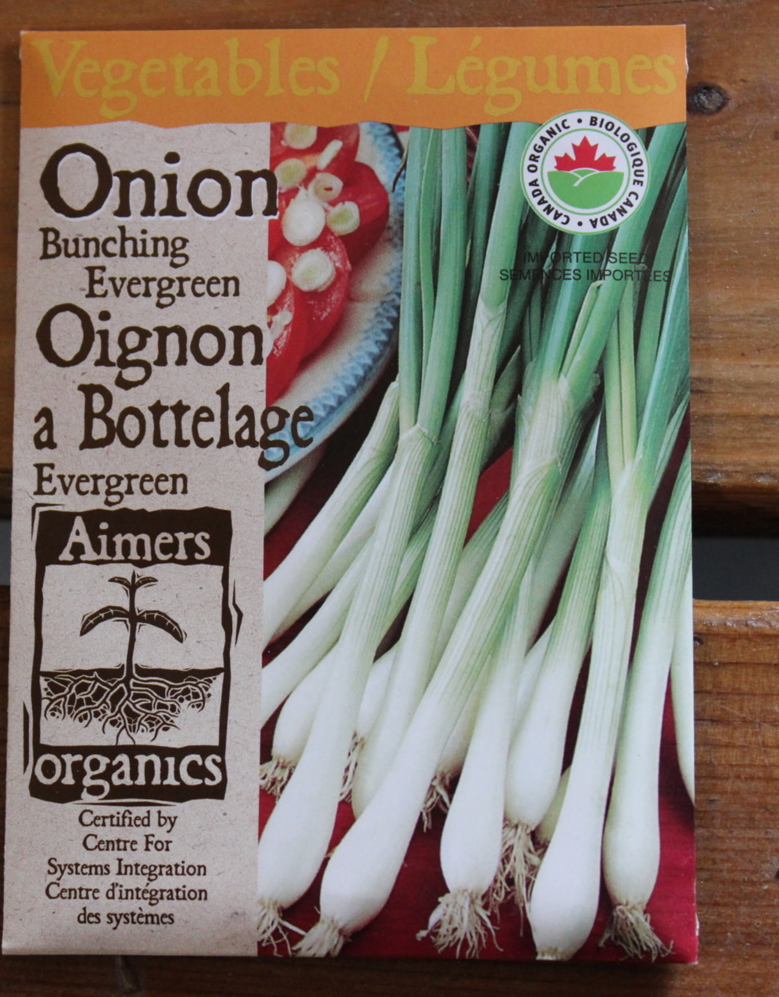Onion - Evergreen Bunching