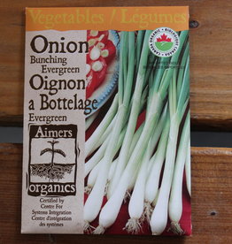 Onion - Evergreen Bunching