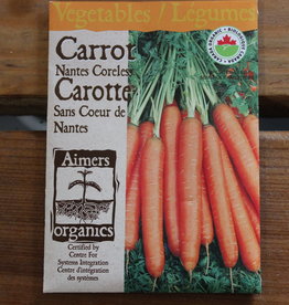 Aimers Carrot - Nantes