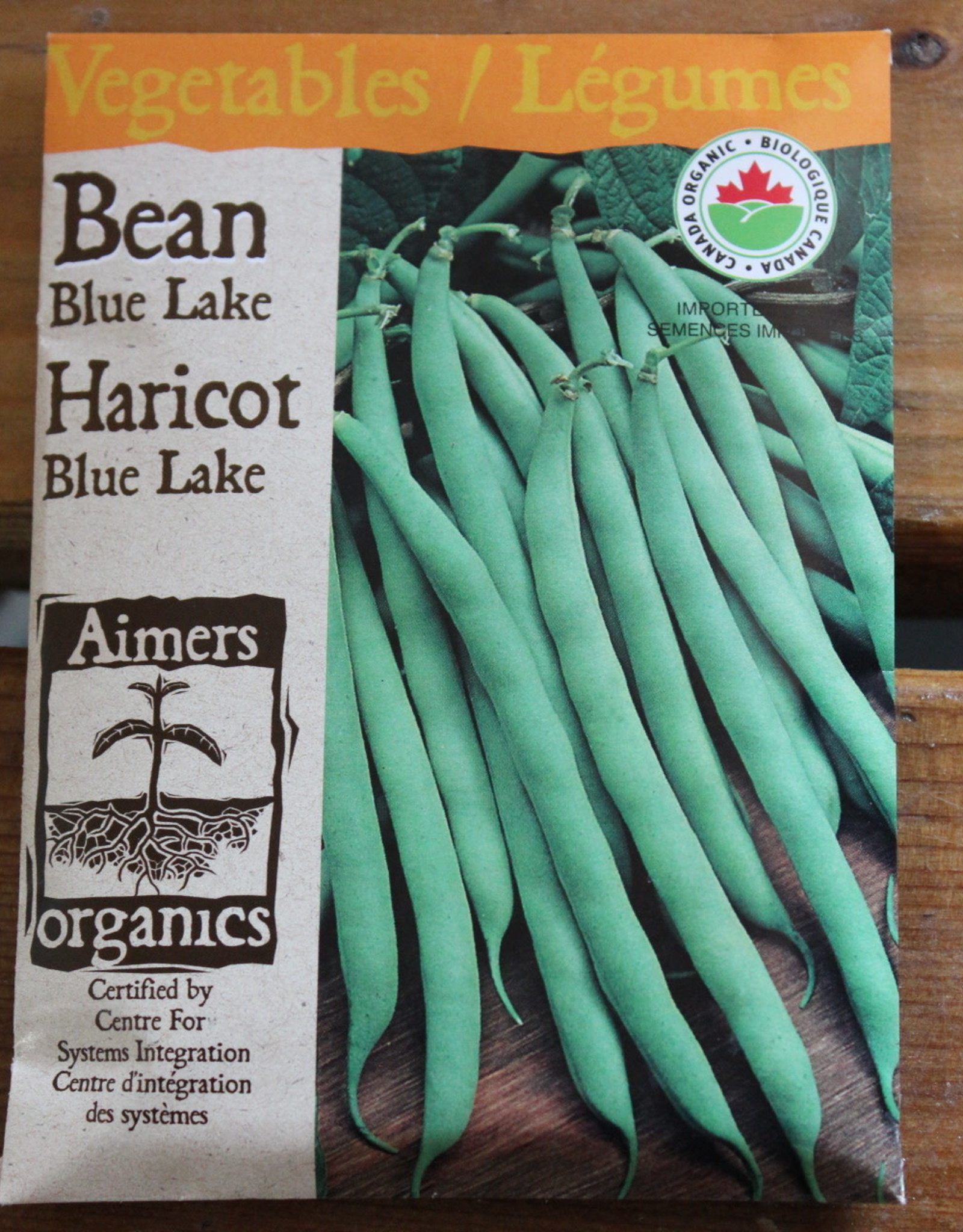 Aimers Bean- Bush Blue Lake