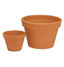 German Terracotta Azalea Pot