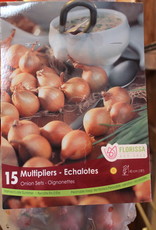 Onion Multiplier - Package of 15