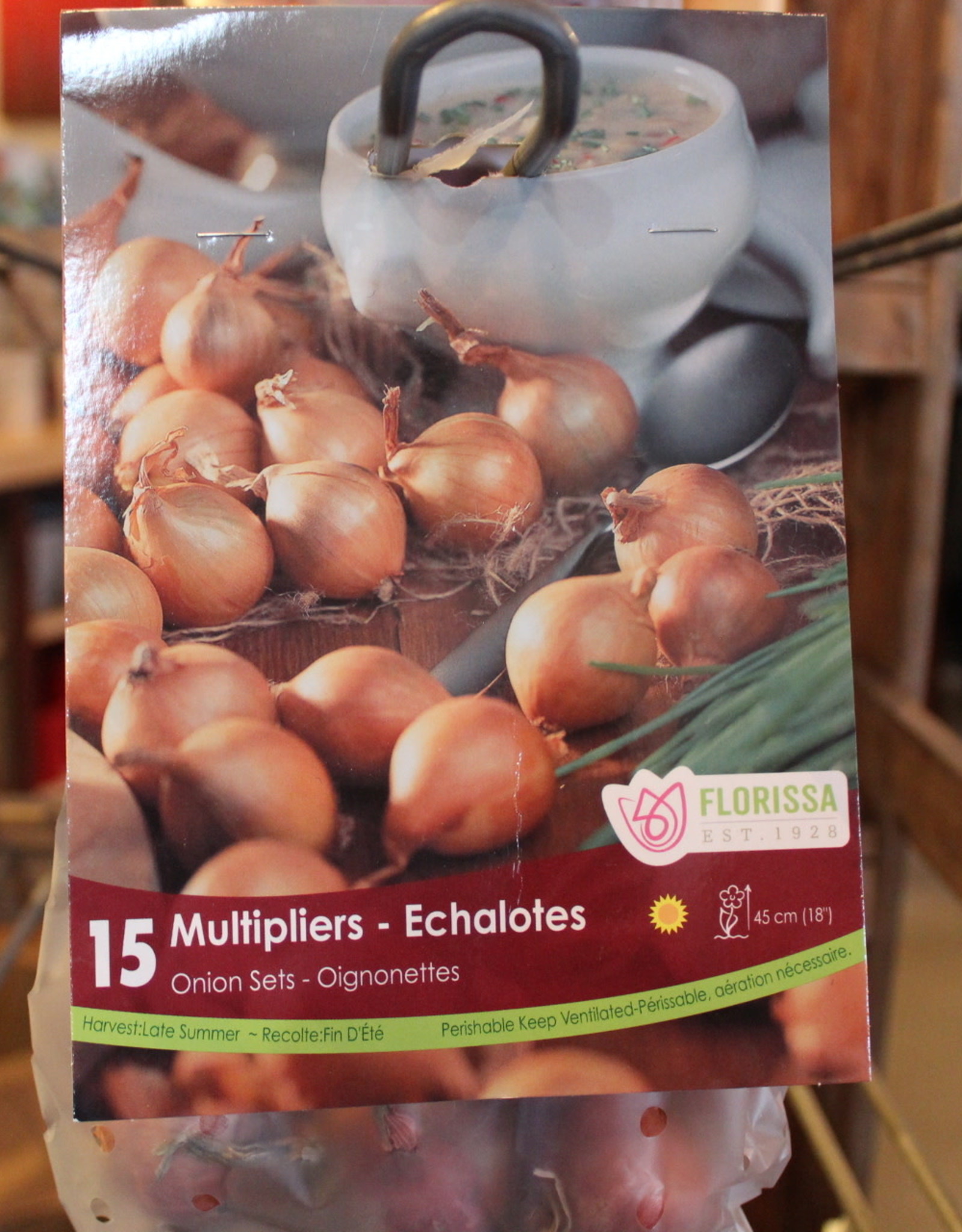 Onion Multiplier - Package of 15