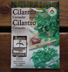 Herb - Cilantro