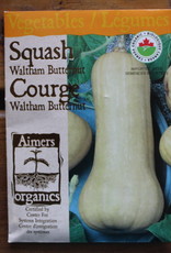 Squash - Waltham Butternut