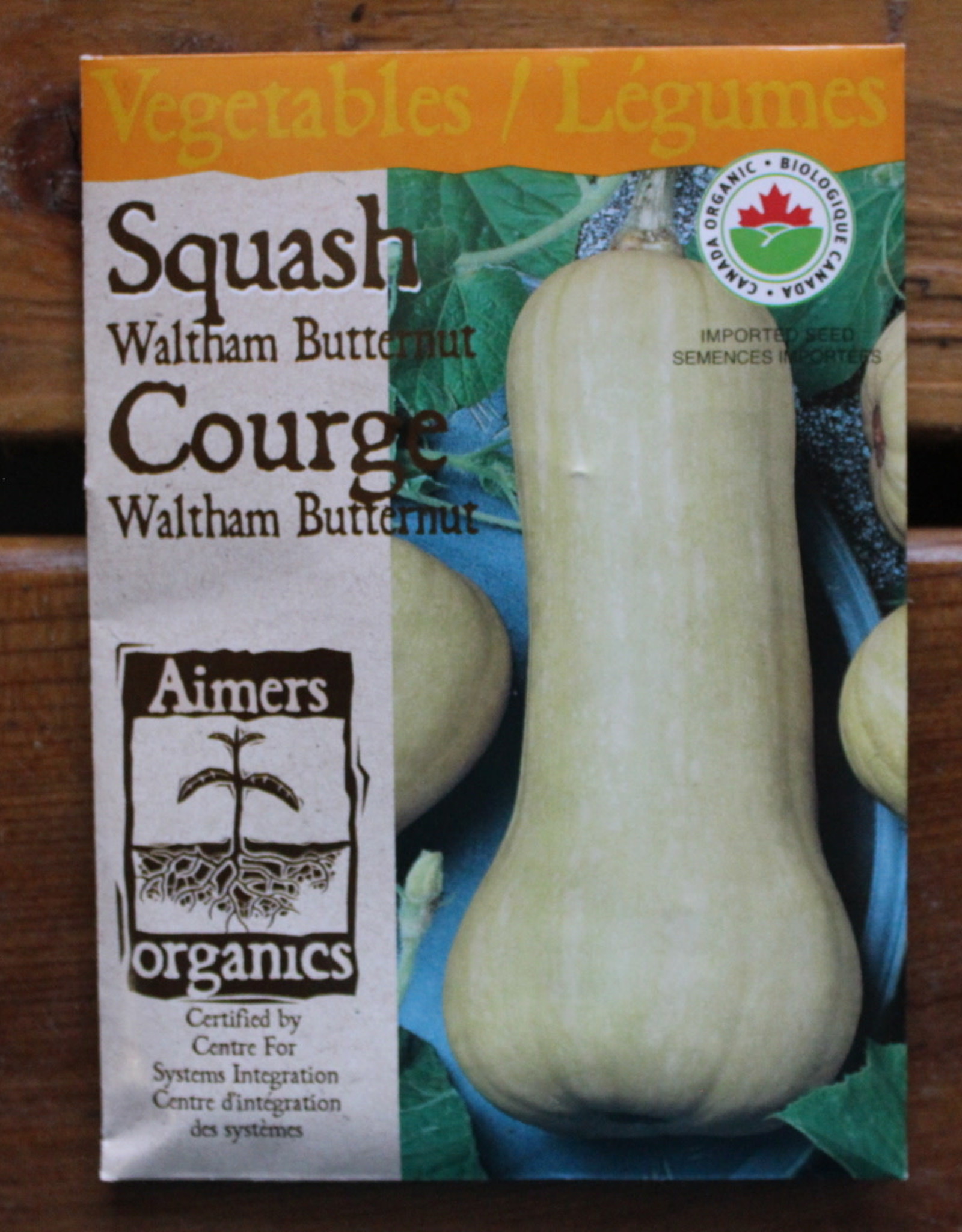 Squash - Waltham Butternut