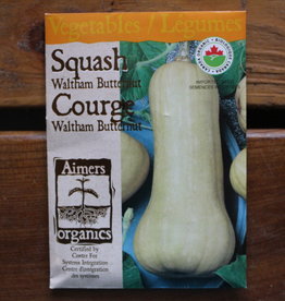 Squash - Waltham Butternut