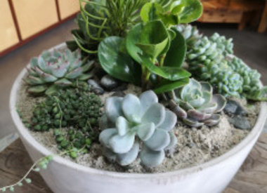 Custom Planting