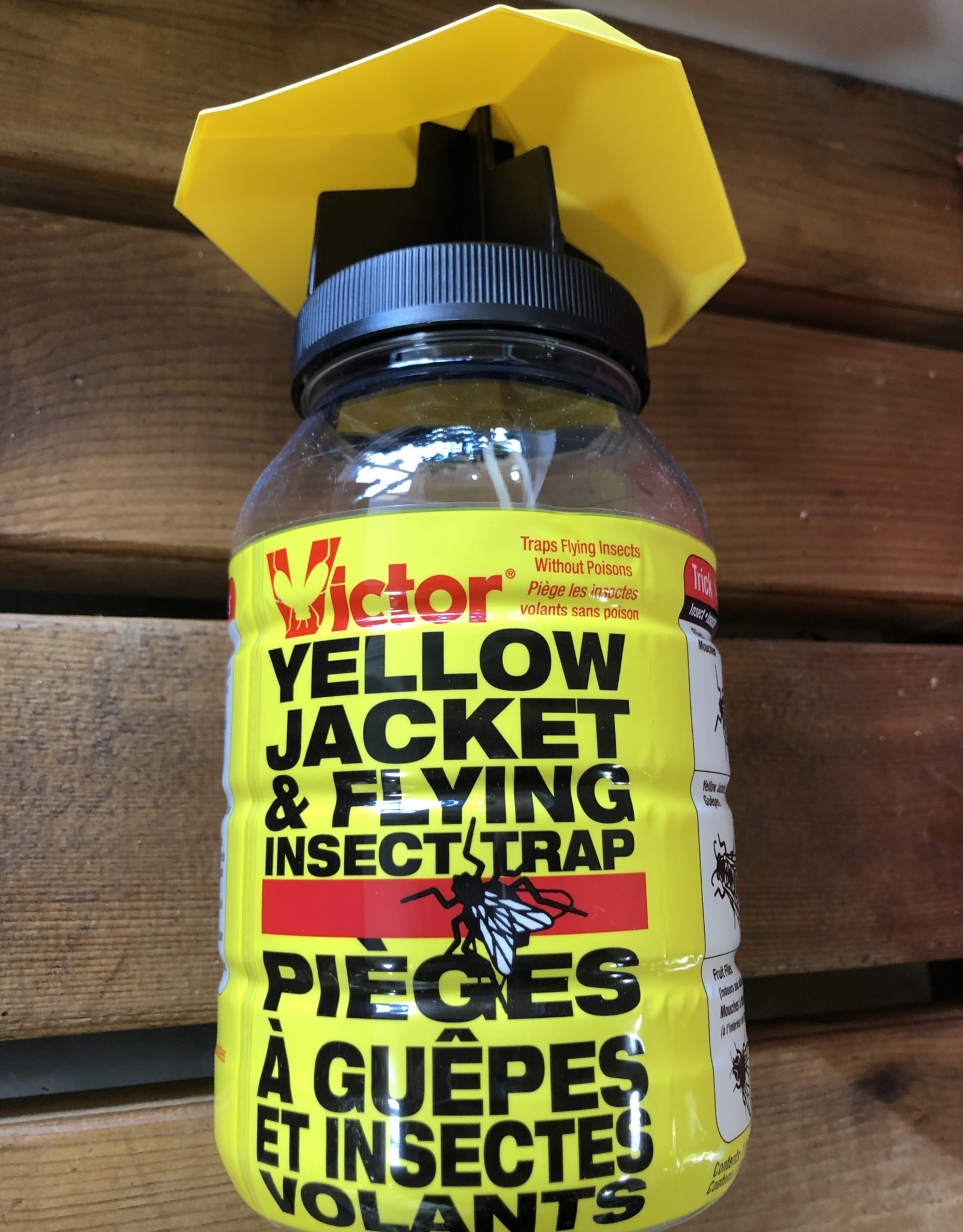 Yellow Jacket Trap With Jar