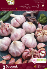 Garlic - Hardneck - Per Bulb - Duganski
