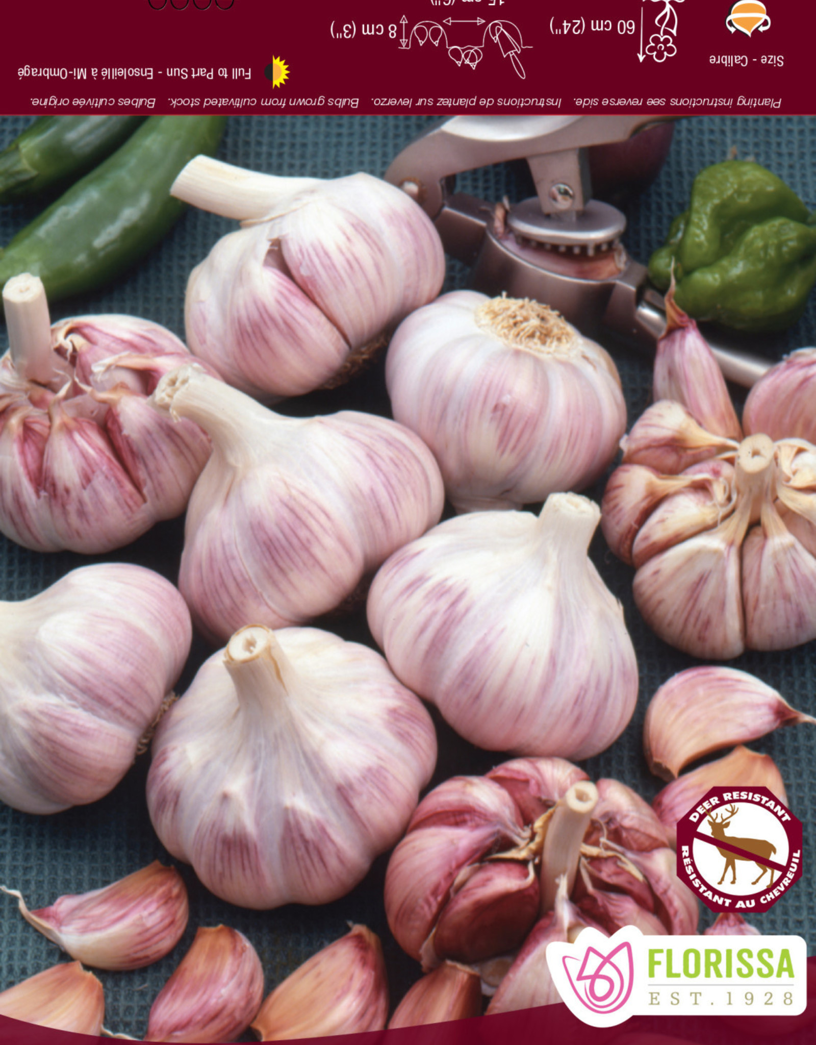 Garlic - Hardneck - Per Bulb - Duganski