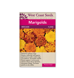 West Coast Seeds Marigolds - Brocade
