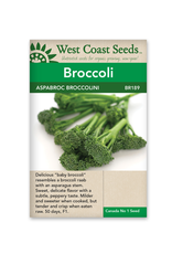 West Coast Seeds Broccoli - Aspabroc F1
