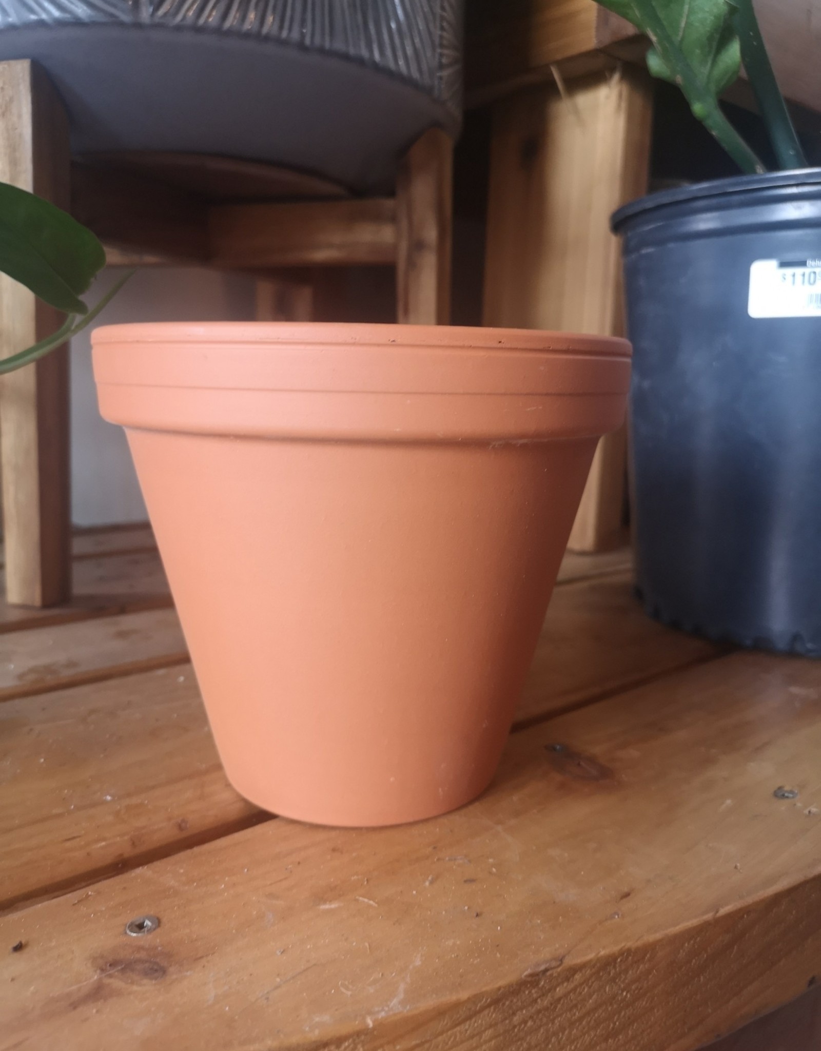 German Terracotta Azalea Pot