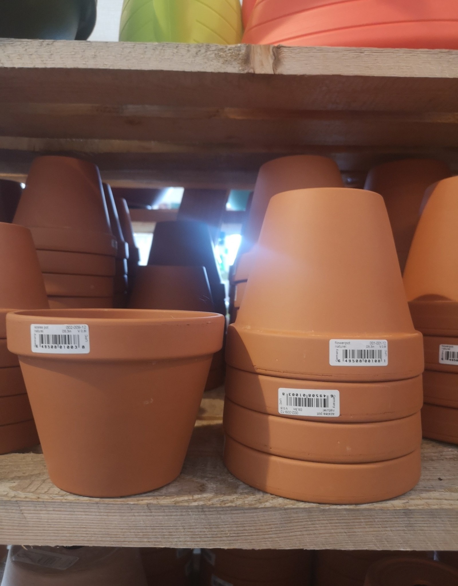 Terracotta German Standard 5.3 Inch
