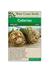 West Coast Seeds Celery - Brilliant