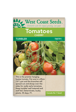 West Coast Seeds Tumbler Cherry F1