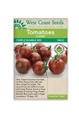 West Coast Seeds Purple Bumble Bee Certified Organic (10 Seeds)