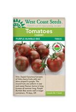West Coast Seeds Tomatoes - Purple Bumble Bee Organic