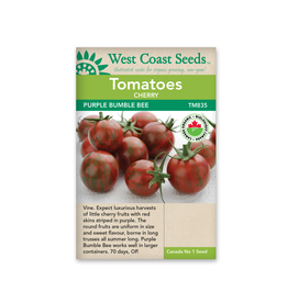 West Coast Seeds Tomatoes - Purple Bumble Bee Organic