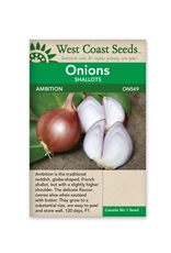 West Coast Seeds Ambition F1 (Coated)