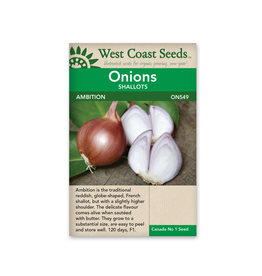 West Coast Seeds Ambition F1 (Coated)