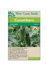 West Coast Seeds Cucumbers - Excelsior F1 Organic
