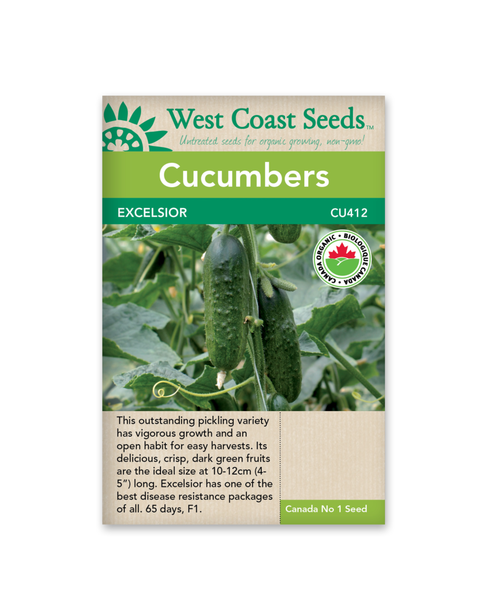 West Coast Seeds Cucumbers - Excelsior F1 Organic