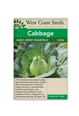 West Coast Seeds Cabbage - Early Jersey Wakefield