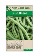 West Coast Seeds Beans - Ferrari