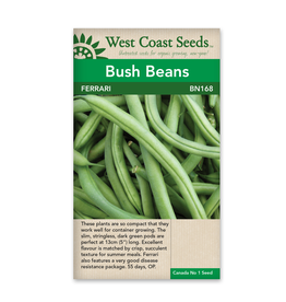 West Coast Seeds Beans - Ferrari