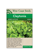 West Coast Seeds Greens - Miner's Lettuce