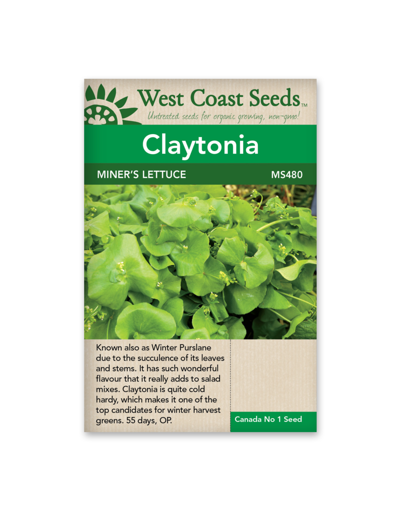 West Coast Seeds Greens - Miner's Lettuce