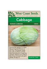 Weeks Cabbage - Taiwan Cabbage F1