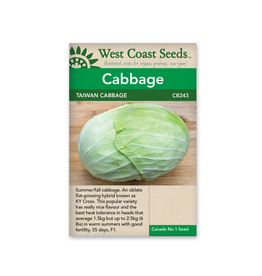Weeks Cabbage - Taiwan Cabbage F1