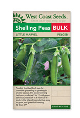 West Coast Seeds Peas - Little Marvel