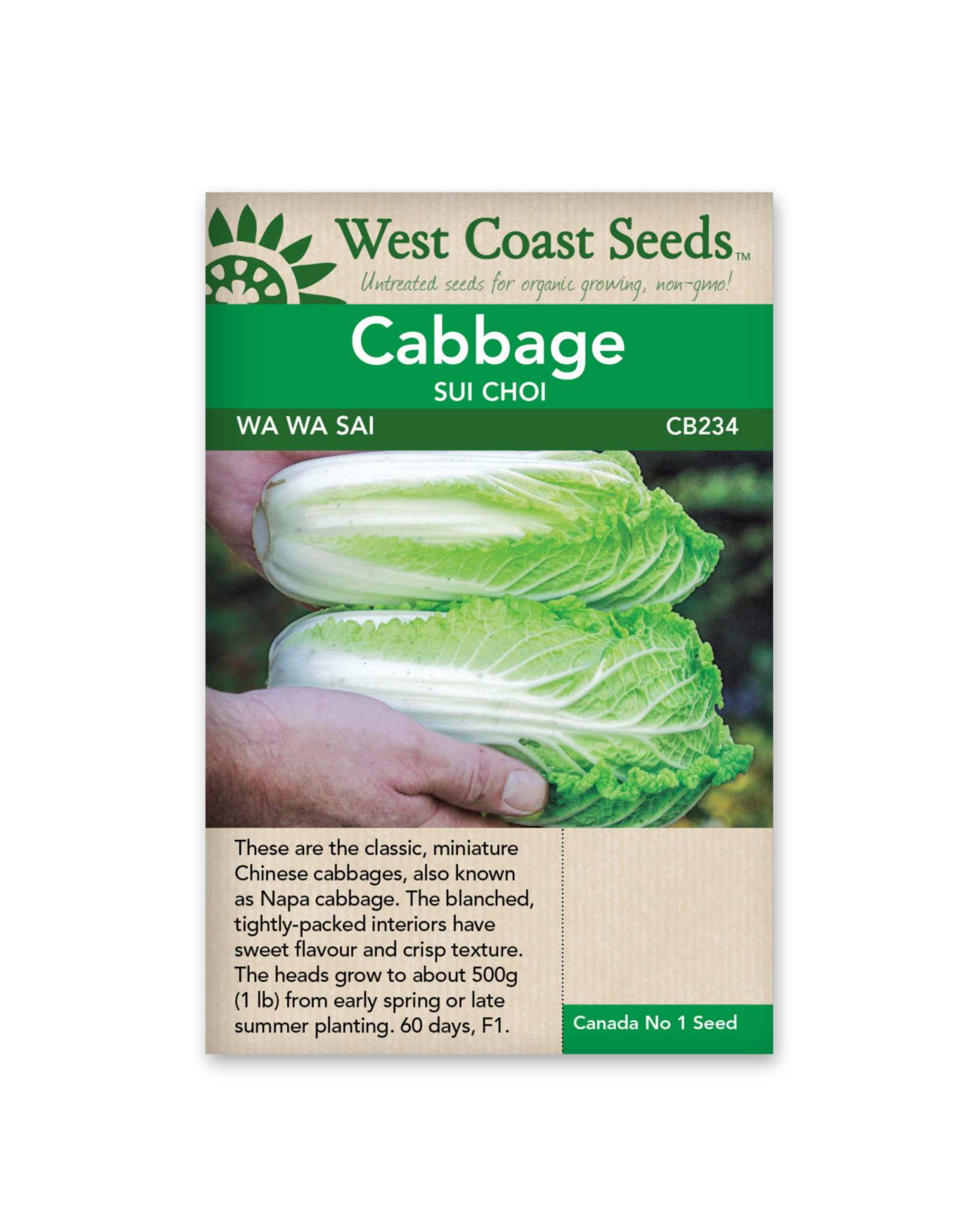 West Coast Seeds Cabbage - Wa Wa Sai F1