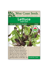 West Coast Seeds Lettuce - Fast and Furious Blend Organic