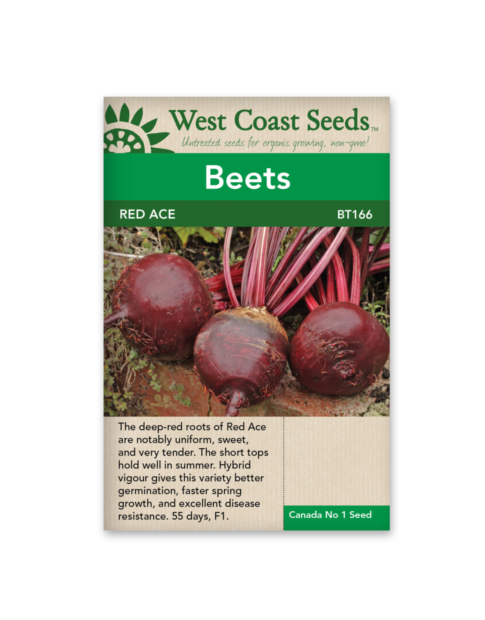 West Coast Seeds Beets - Red Ace F1